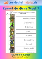 Kennst du diese Vögel.pdf